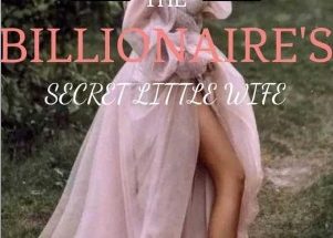 The Billionaire's secret little wife