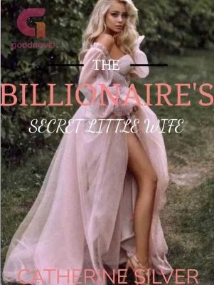 The Billionaire's secret little wife