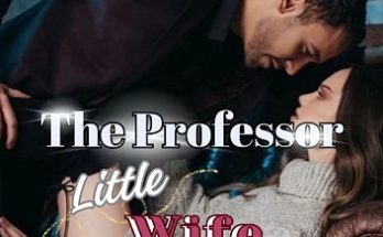 The Professor Little Wife